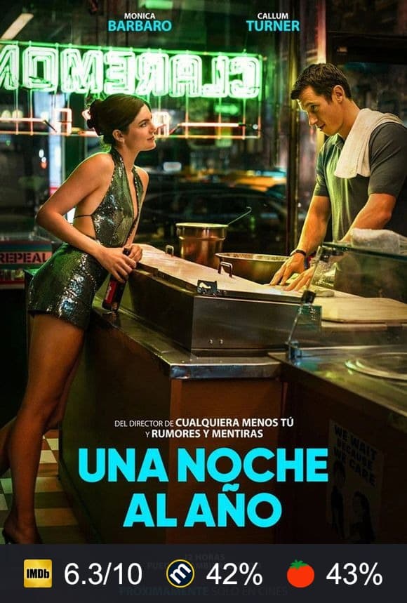 Cartel de Una noche al año
