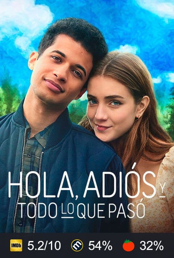 Cartel de Hola, adiós y todo lo que pasó