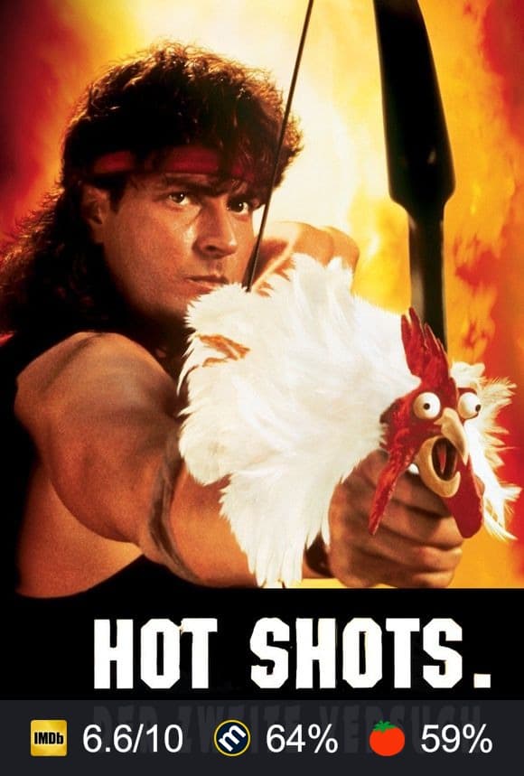 Poster von Hot Shots! Der zweite Versuch