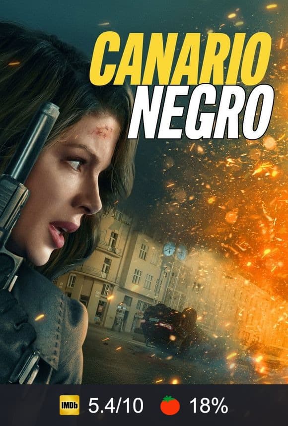 Cartel de Canario Negro