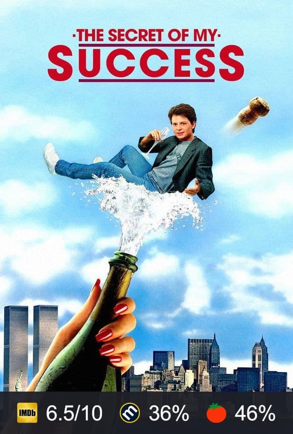 The Secret of My Success poster