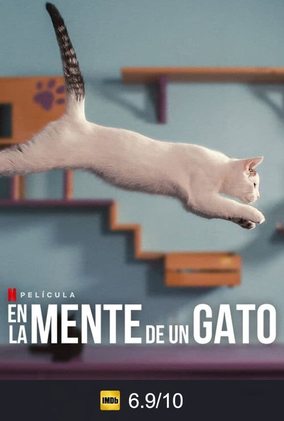 Cartel de En la mente de un gato
