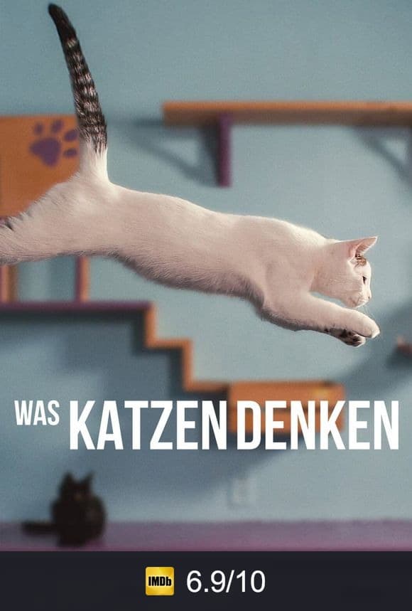 Poster von Was Katzen denken