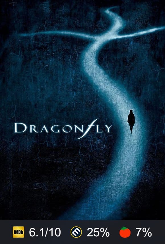 Dragonfly poster