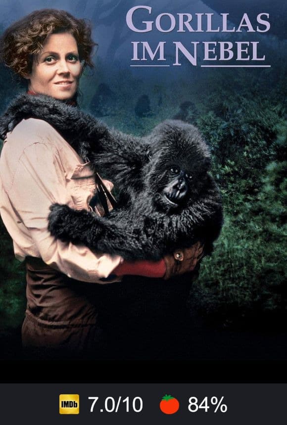 Poster von Gorillas im Nebel