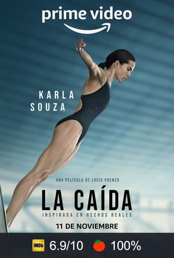 Cartel de La caída