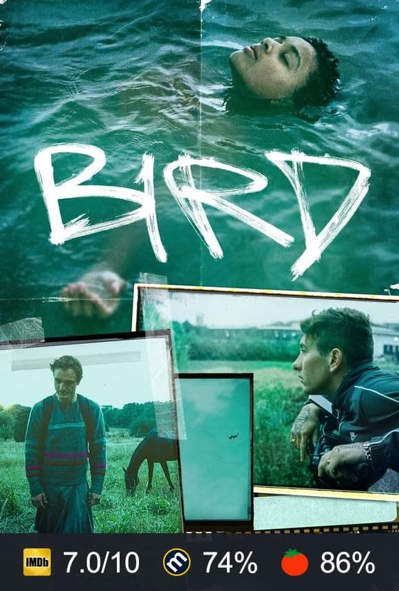 Bird poster