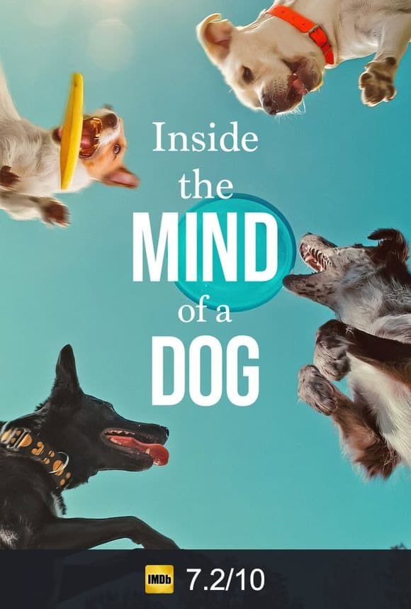 Inside the Mind of a Dog poster
