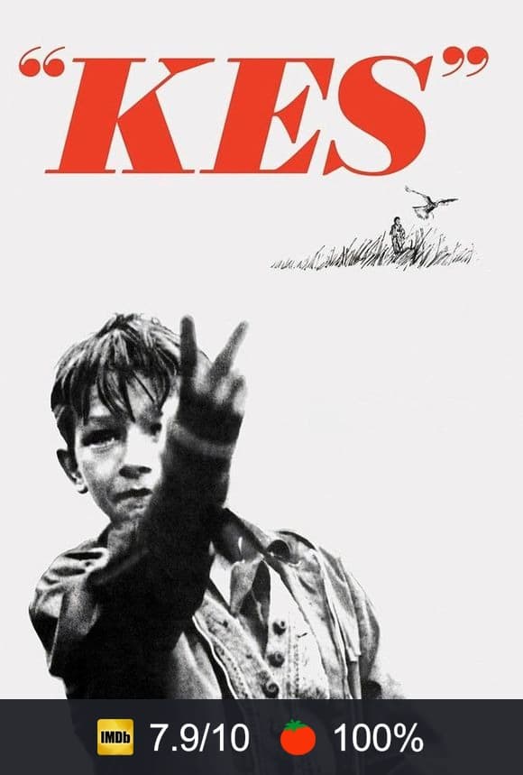 Poster von Kes