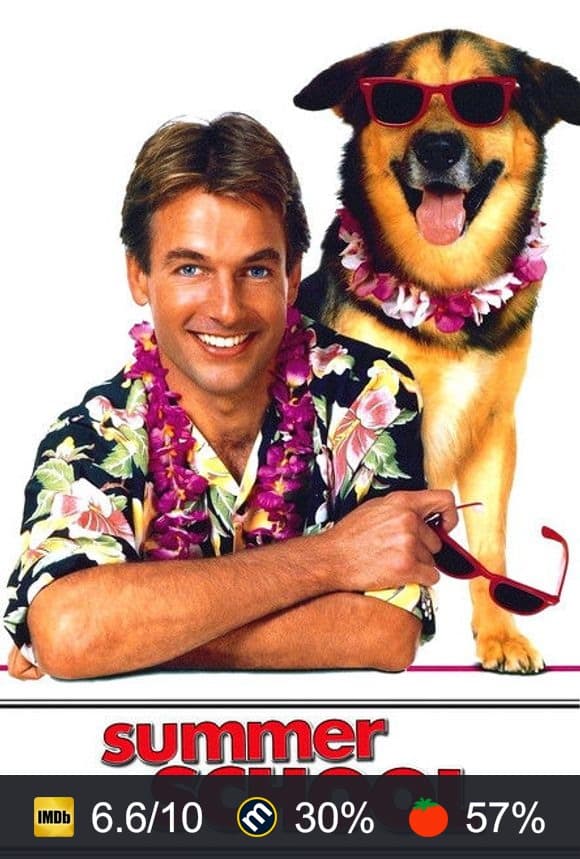 Poster von Summer School