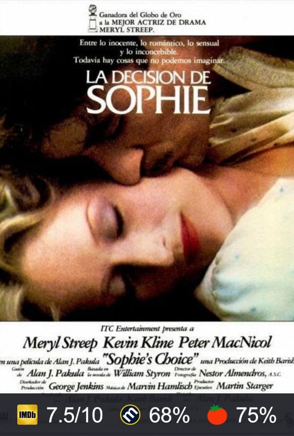 Cartel de La decisión de Sophie