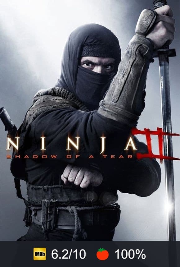 Cartel de Ninja 2: La sombra de la muerte
