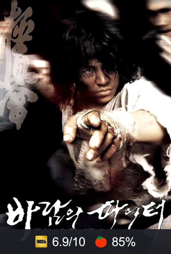 Poster von Fighter In The Wind