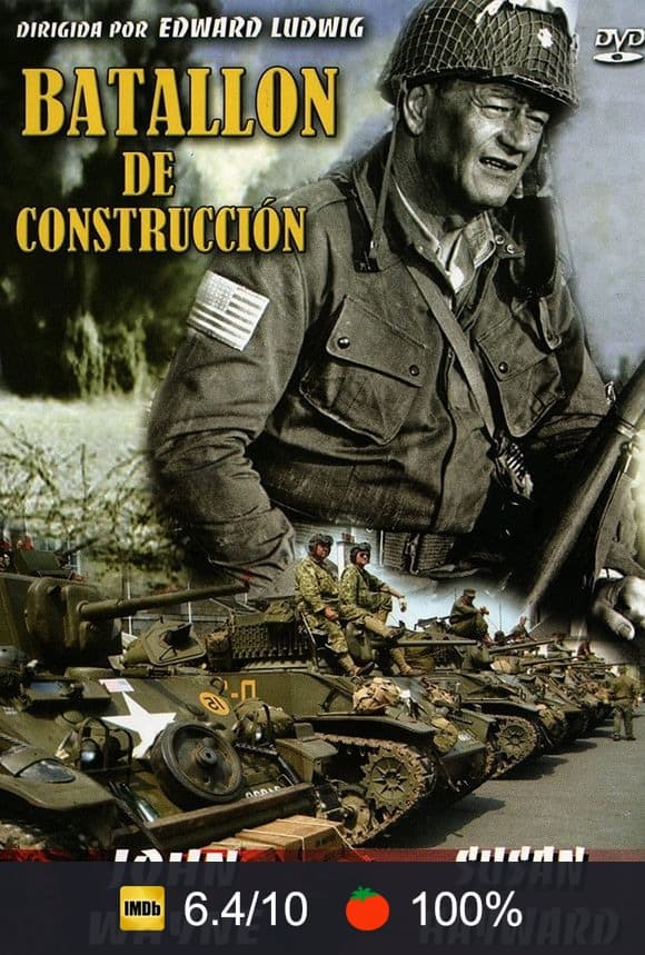 Cartel de Batallón de construcción