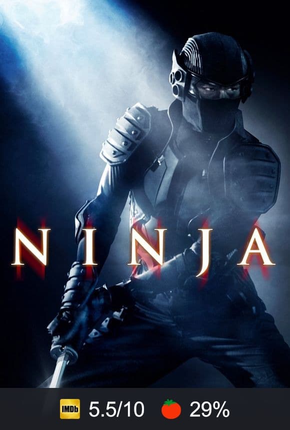 Ninja poster