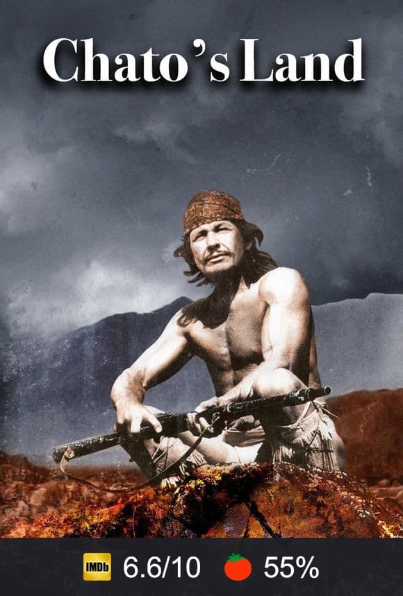 Chato's Land poster