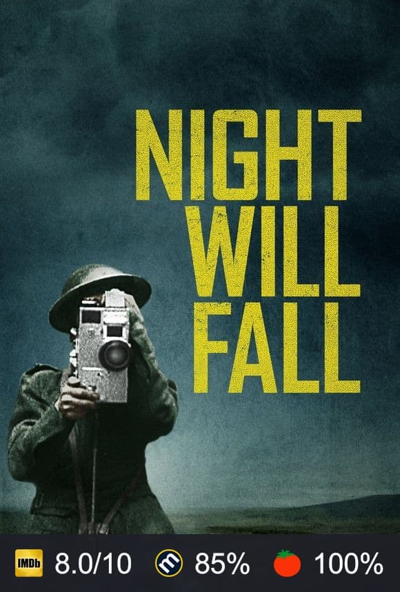 Cartel de Cuando caiga la noche
