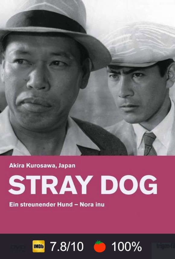 Poster von Ein streunender Hund
