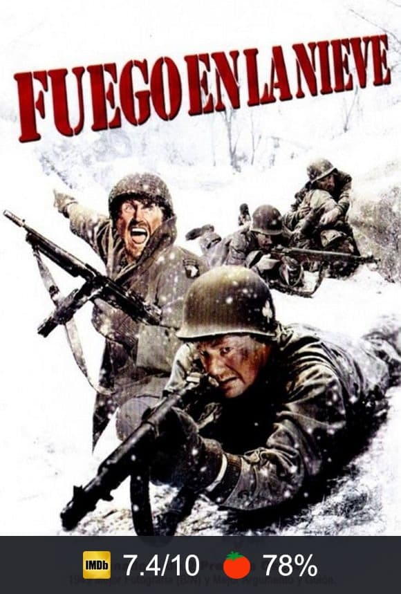 Cartel de Fuego en la nieve