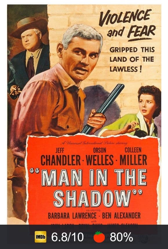Man in the Shadow poster