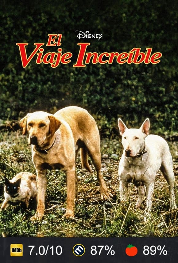 Cartel de El viaje increible