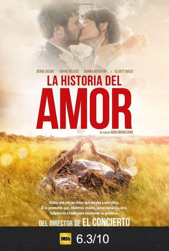 Cartel de La historia del amor