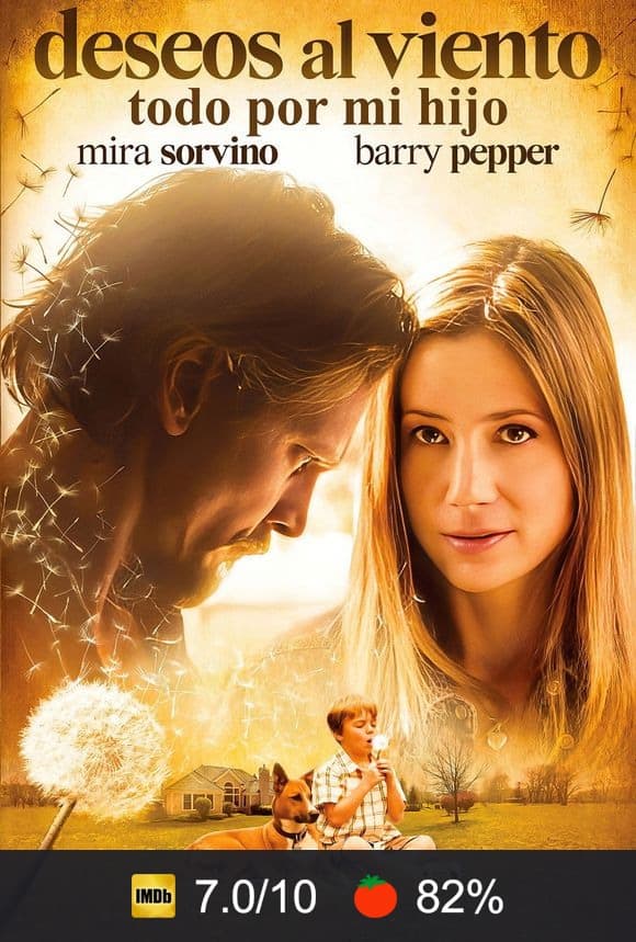 Cartel de Deseos al viento (Todo por mi hijo)