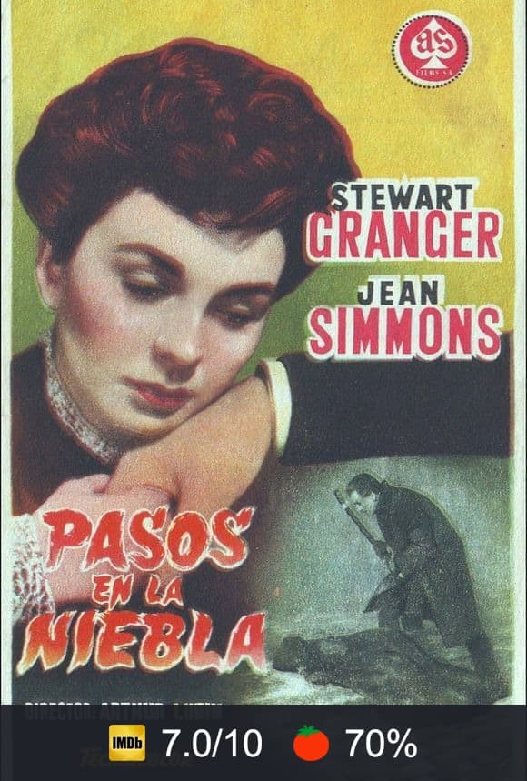 Cartel de Pasos en la niebla