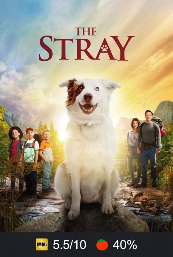 Cartel de The Stray