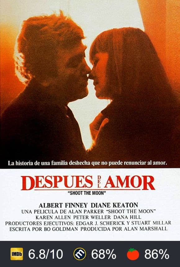 Cartel de Después del amor
