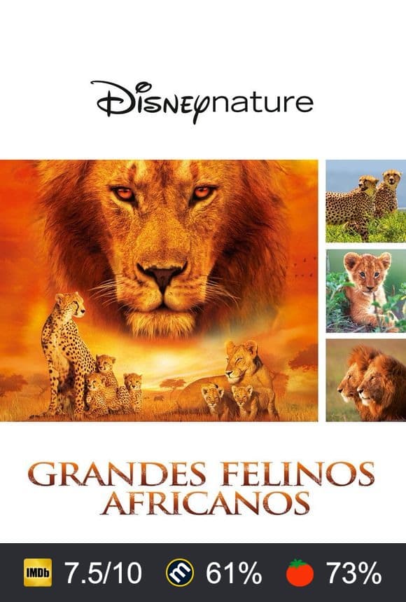 Cartel de Grandes felinos africanos: el reino del coraje