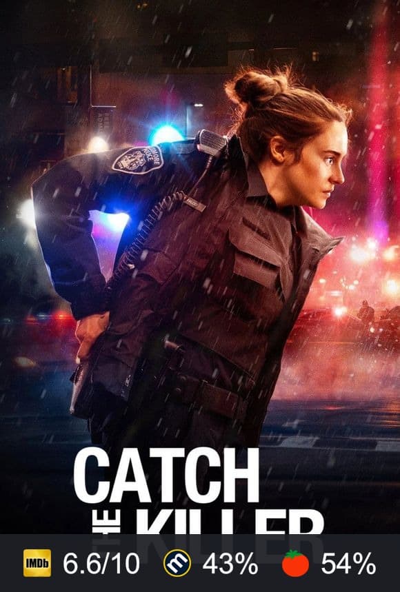 Poster von Catch the Killer