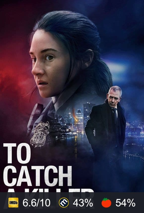 To Catch a Killer poster
