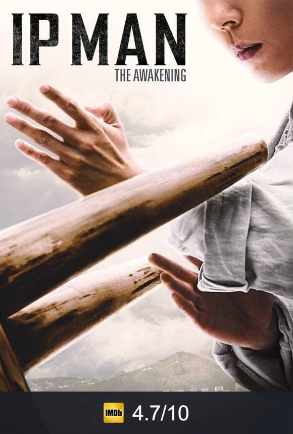 Ip Man: The Awakening poster
