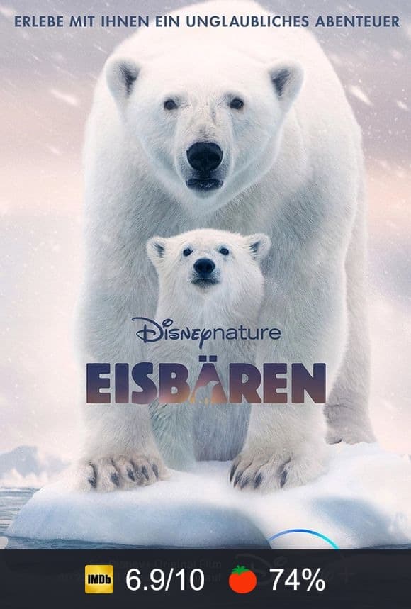 Poster von Eisbären