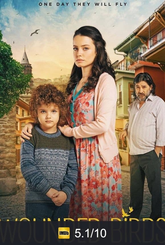 Wounded Birds poster