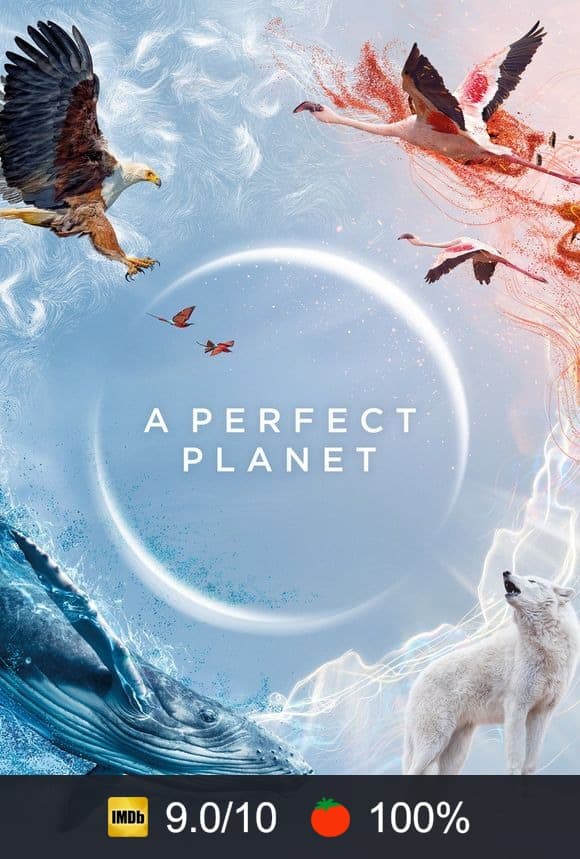 A Perfect Planet poster