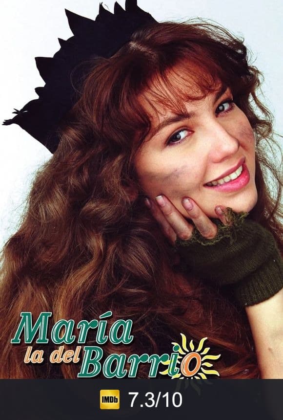 Cartel de María la del Barrio