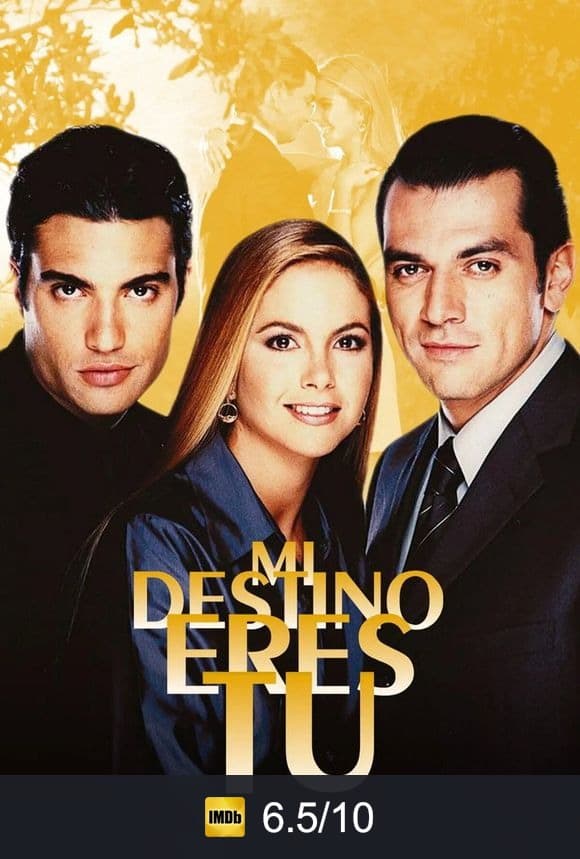 Cartel de Mi Destino Eres Tú