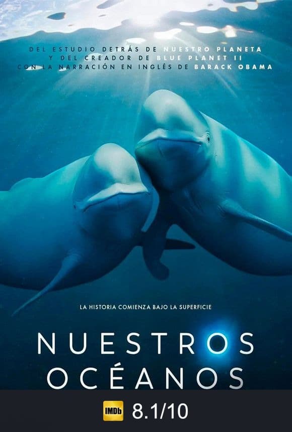 Cartel de Nuestros océanos