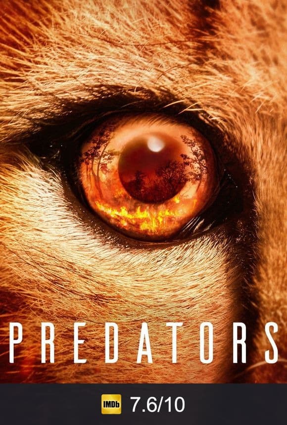 Poster von Predators