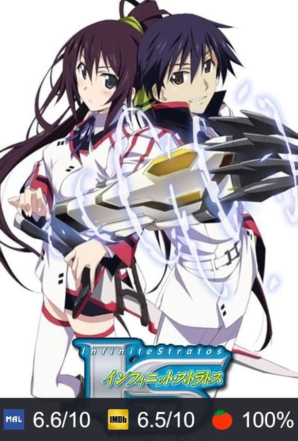 Cartel de IS: Infinite Stratos