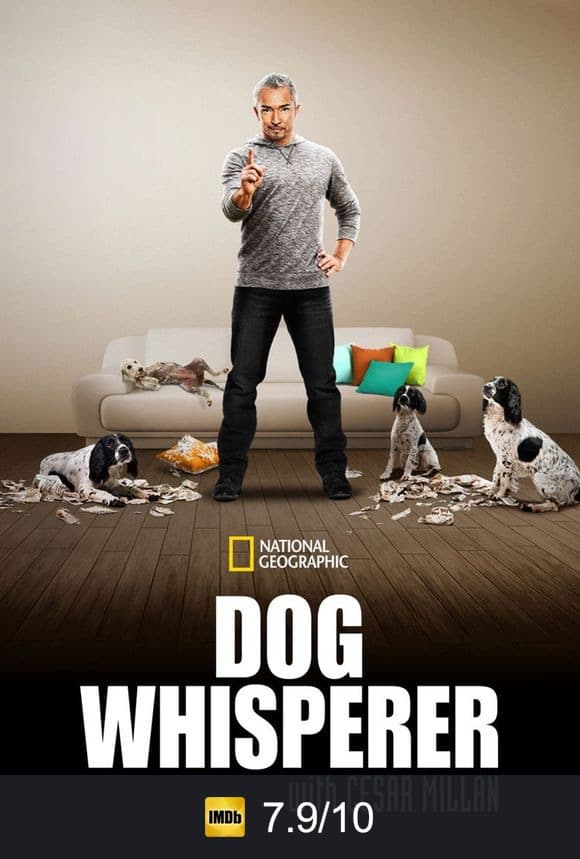 Cartel de El Encantador de Perros