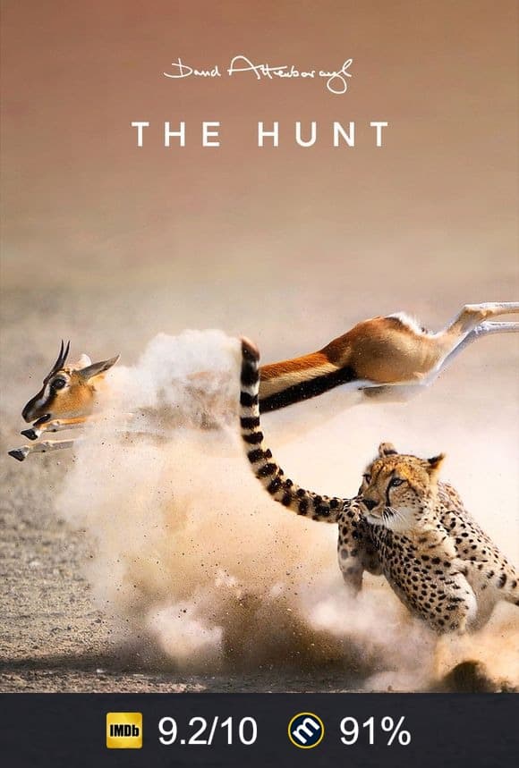 The Hunt poster