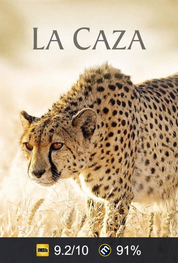 Cartel de La caza