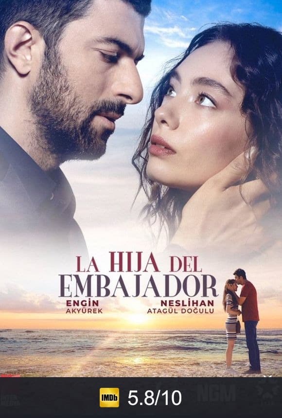 Cartel de La Hija del Embajador